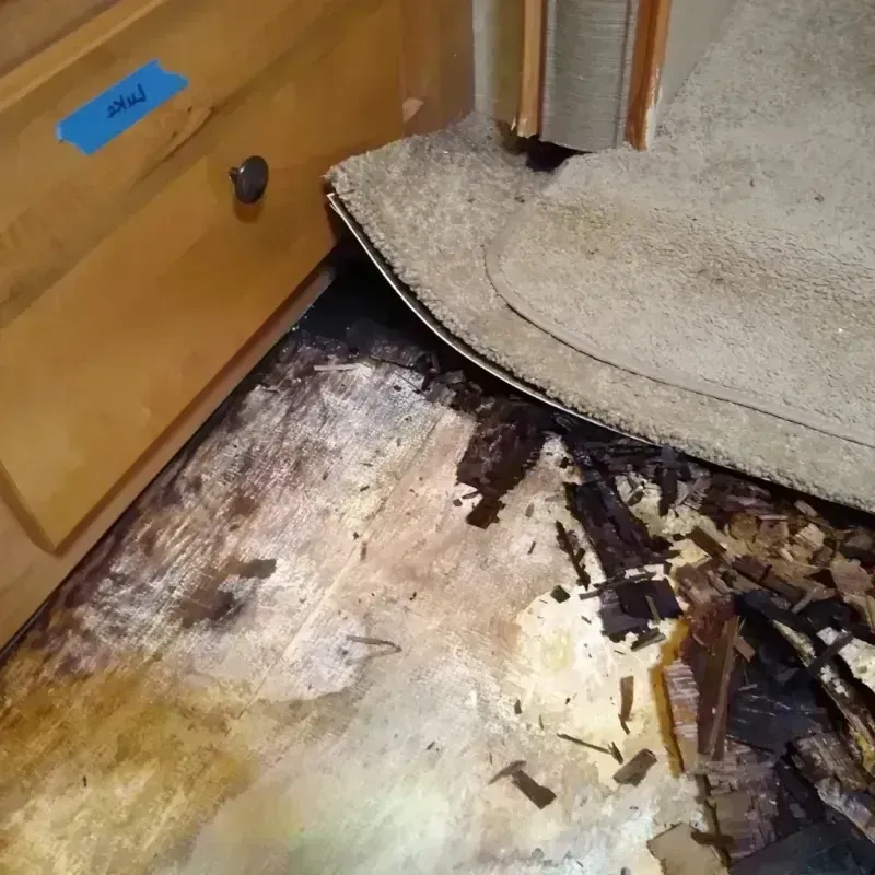 Wood Floor Water Damage in Loveland, OH